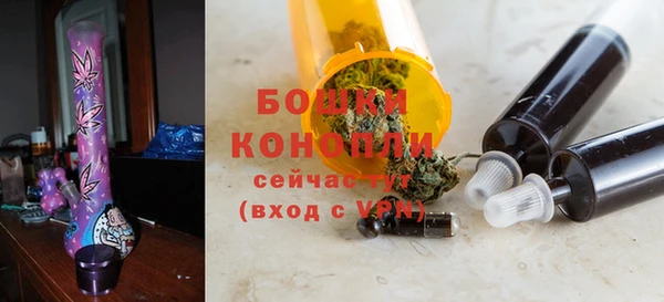 ПСИЛОЦИБИНОВЫЕ ГРИБЫ Аркадак