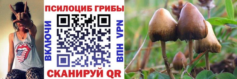 Псилоцибиновые грибы Magic Shrooms мориарти телеграм Нурлат